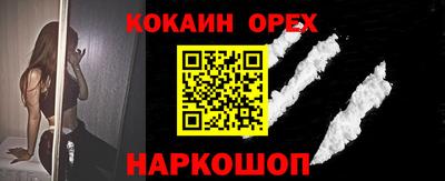 шишки Кандалакша