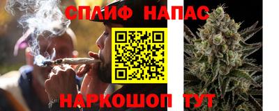 спиды Канаш