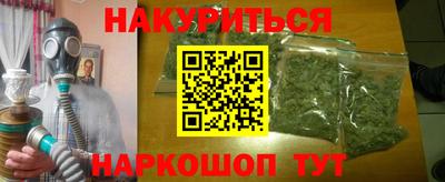 шишки Кандалакша
