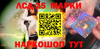 шишки Кандалакша
