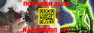 шишки Кандалакша