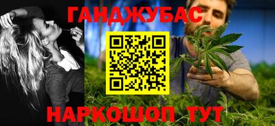 шишки Кандалакша