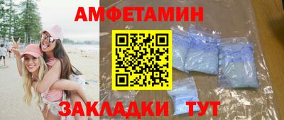 шишки Кандалакша