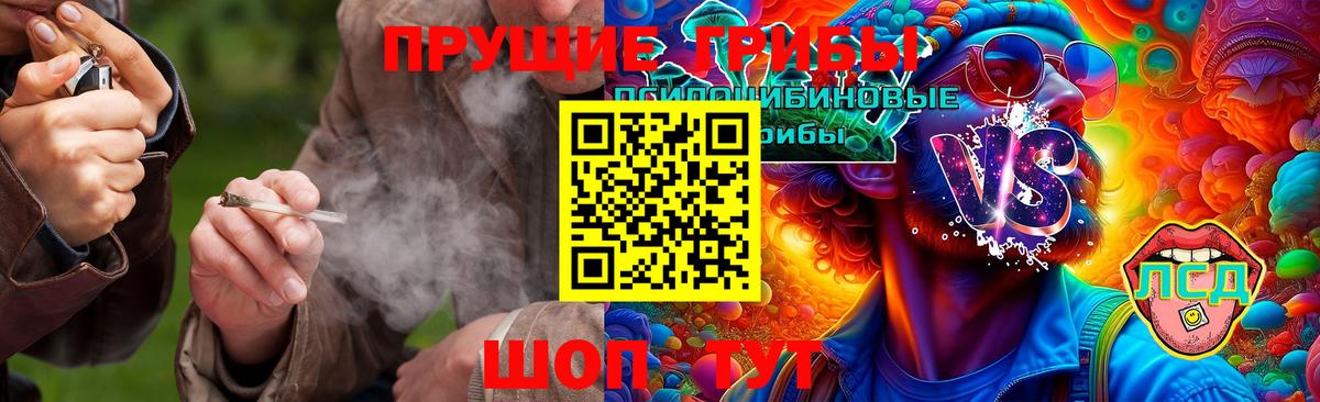 Галлюциногенные грибы Psilocybe  Вход с VPN  Галлюциногенные грибы мухоморы  Заволжье 